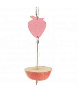 Parrot-Supplies Treat Skewer Spear Fruit & Vegetable Holder 